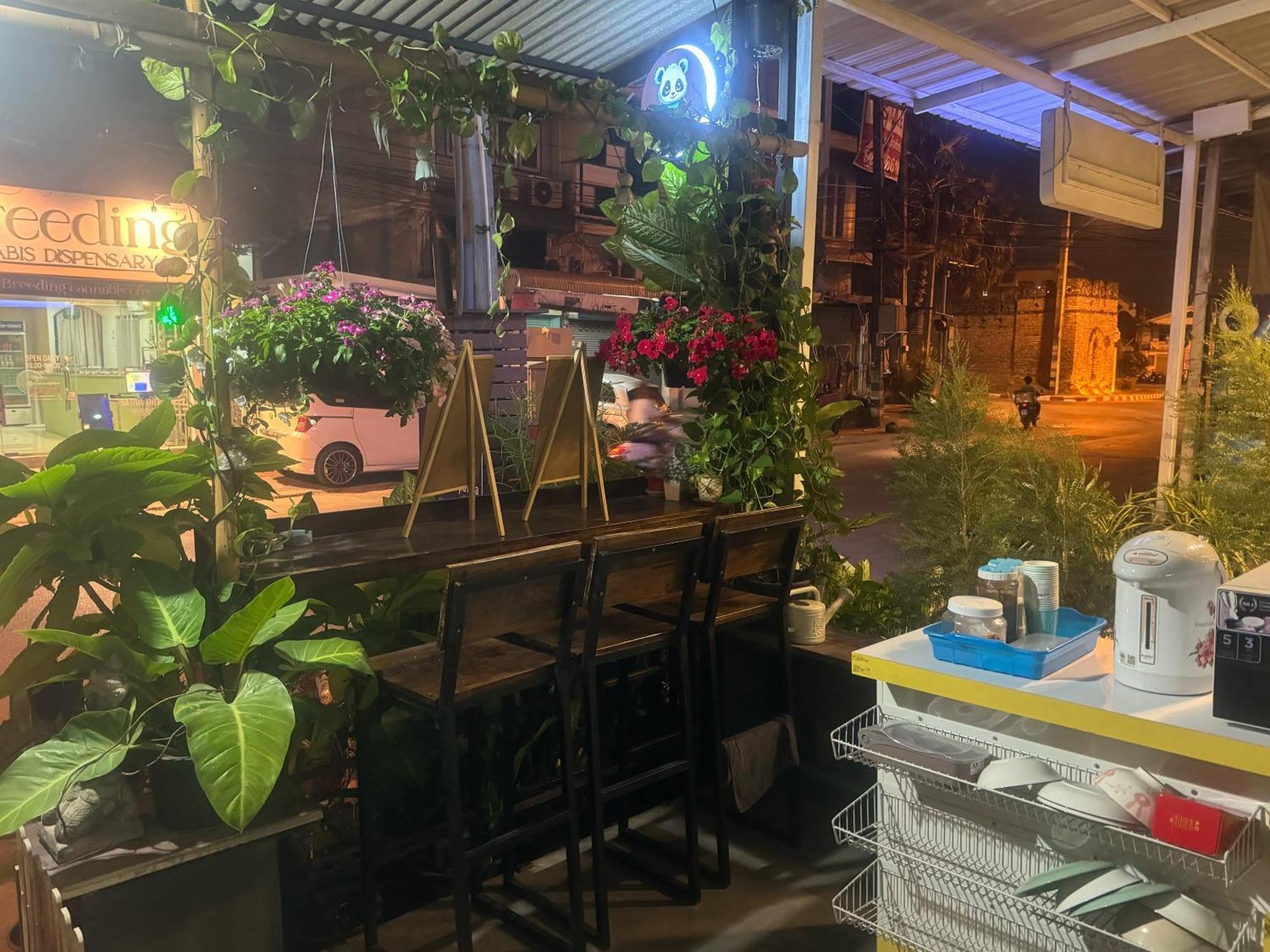 Chiang Mai Panda Hostel — Photos 1